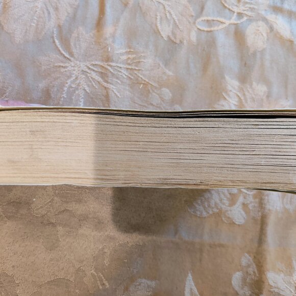 Something Shady by Pamela Morsi, Paperback, Used - Picture 10 of 13